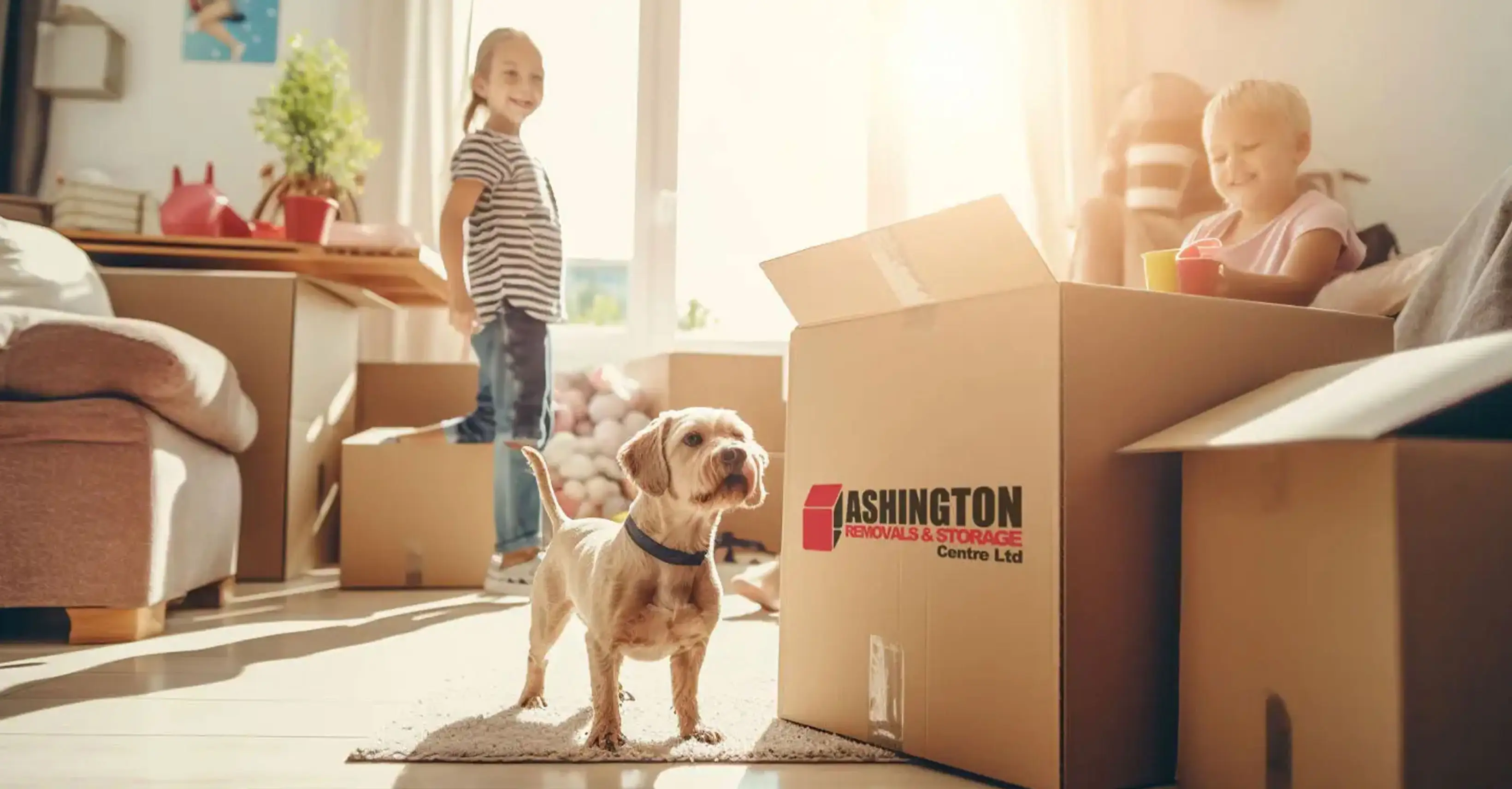 Moving house with pets guide